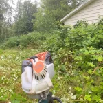 Landscape blackberry removal in marysville washington During 5