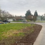 Landscape bush rip out marysville washington after 2