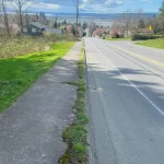 Landscape edging restoration landscape cleanup marysville washington before