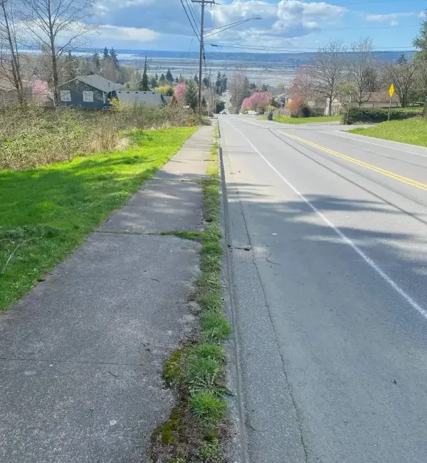 Landscape edging restoration landscape cleanup marysville washington before