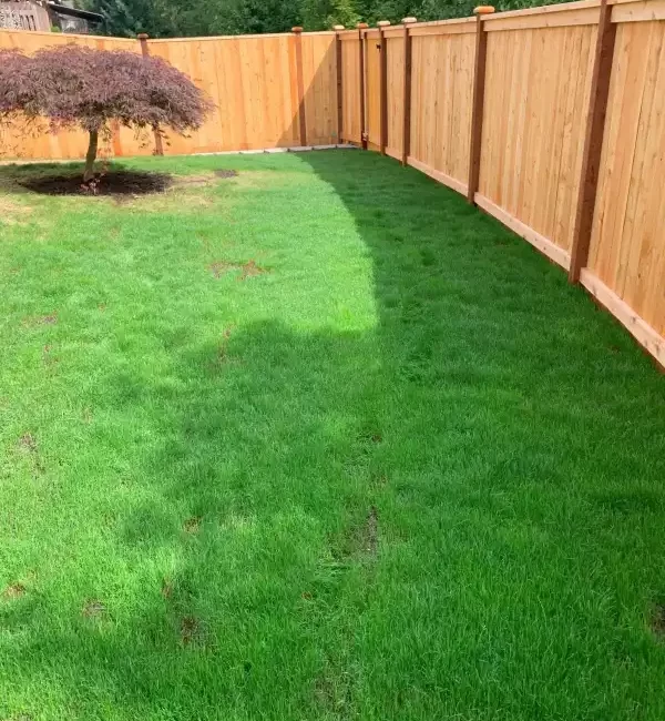 Landscape grass installation fence installation everett washington
