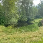 Landscape pond grass blackberry removal in marysville washington After 4
