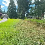 Landscape pond grass blackberry removal in marysville washington After 5