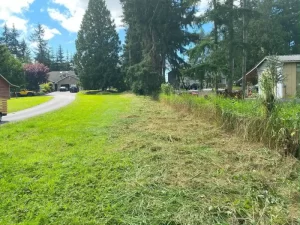 Landscape pond grass blackberry removal in marysville washington After 5