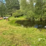 Landscape pond grass blackberry removal in marysville washington After 6