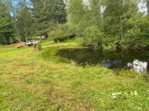 Landscape pond grass blackberry removal in marysville washington After 6