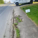 Landscape restoration cleanup marysville washington during 2
