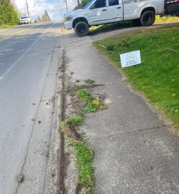 Landscape restoration cleanup marysville washington during 2