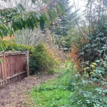 Landscape worst blackberry cleanup marysville washington before 2