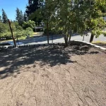 backyard restoration soil retaining wall everett washington