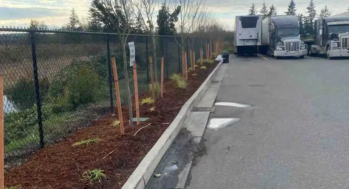 commercial landscape installation arlington washington