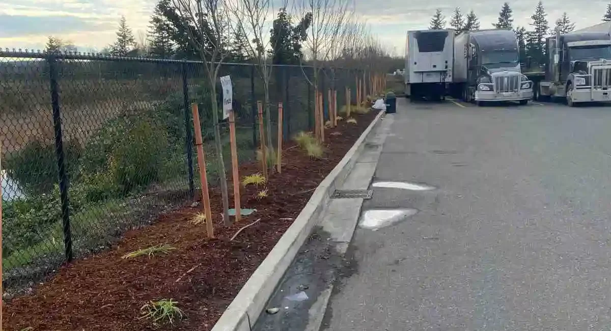 commercial landscape installation arlington washington 2