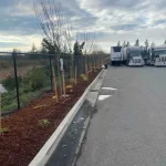 commercial landscape installation arlington washington 2