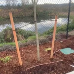 commercial landscape installation arlington washington 4