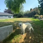 grade work marysville washington before 2