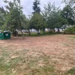landscape blackberry removal mulkiteo washington after