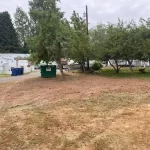 landscape blackberry removal mulkiteo washington after 2