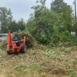 landscape blackberry removal mulkiteo washington before