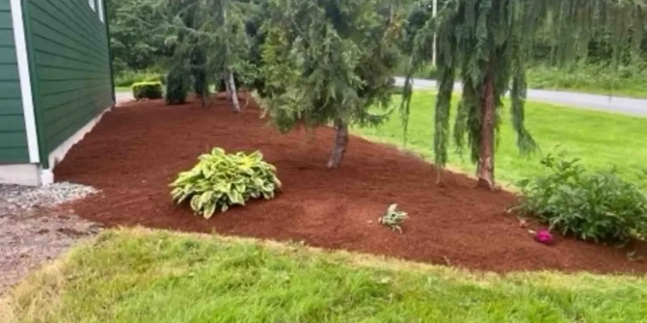 landscape cleanup cat tail restoration weeds grant falls washington 2