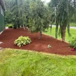 landscape cleanup cat tail restoration weeds grant falls washington 2