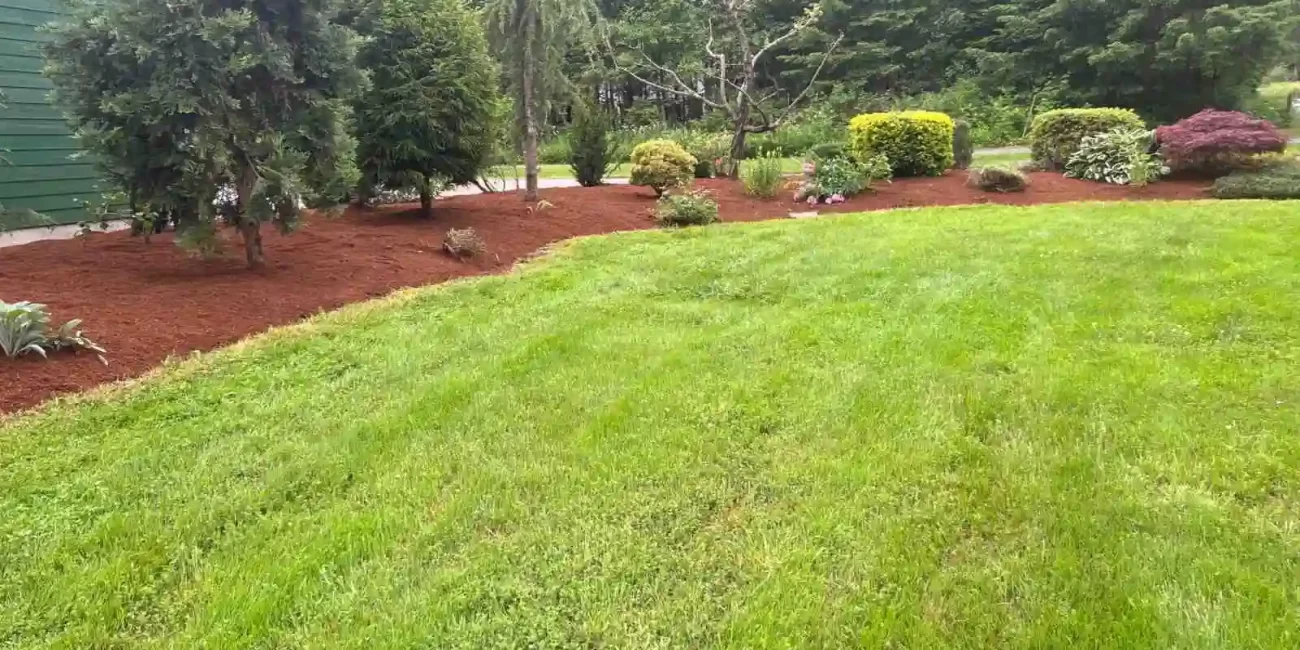 landscape cleanup cat tail restoration weeds grant falls washington 3