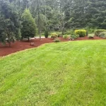 landscape cleanup cat tail restoration weeds grant falls washington 3