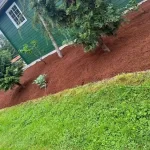 landscape cleanup cat tail restoration weeds grant falls washington 4