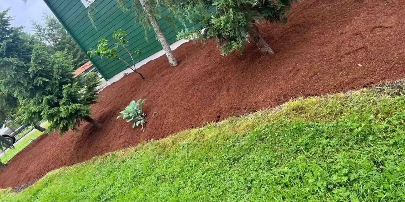 landscape cleanup cat tail restoration weeds grant falls washington 4