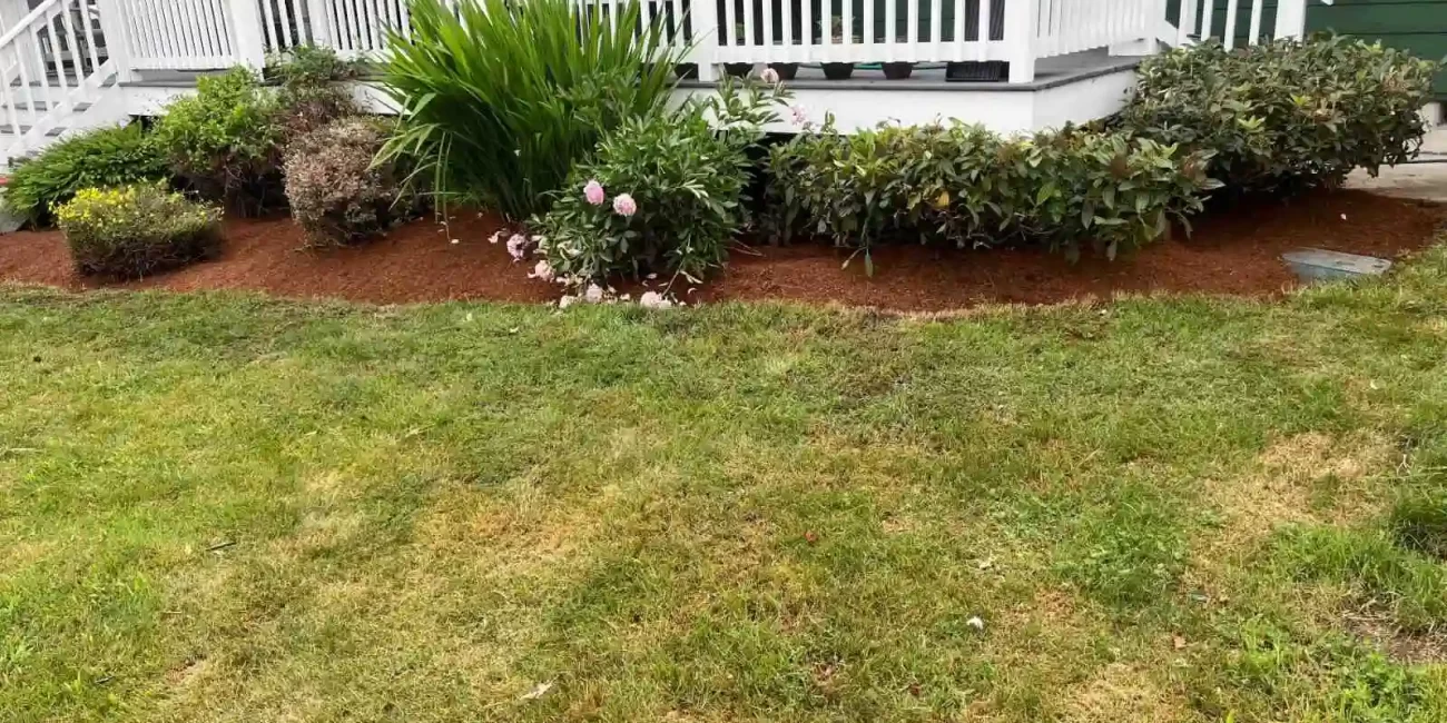 landscape cleanup granite falls washington
