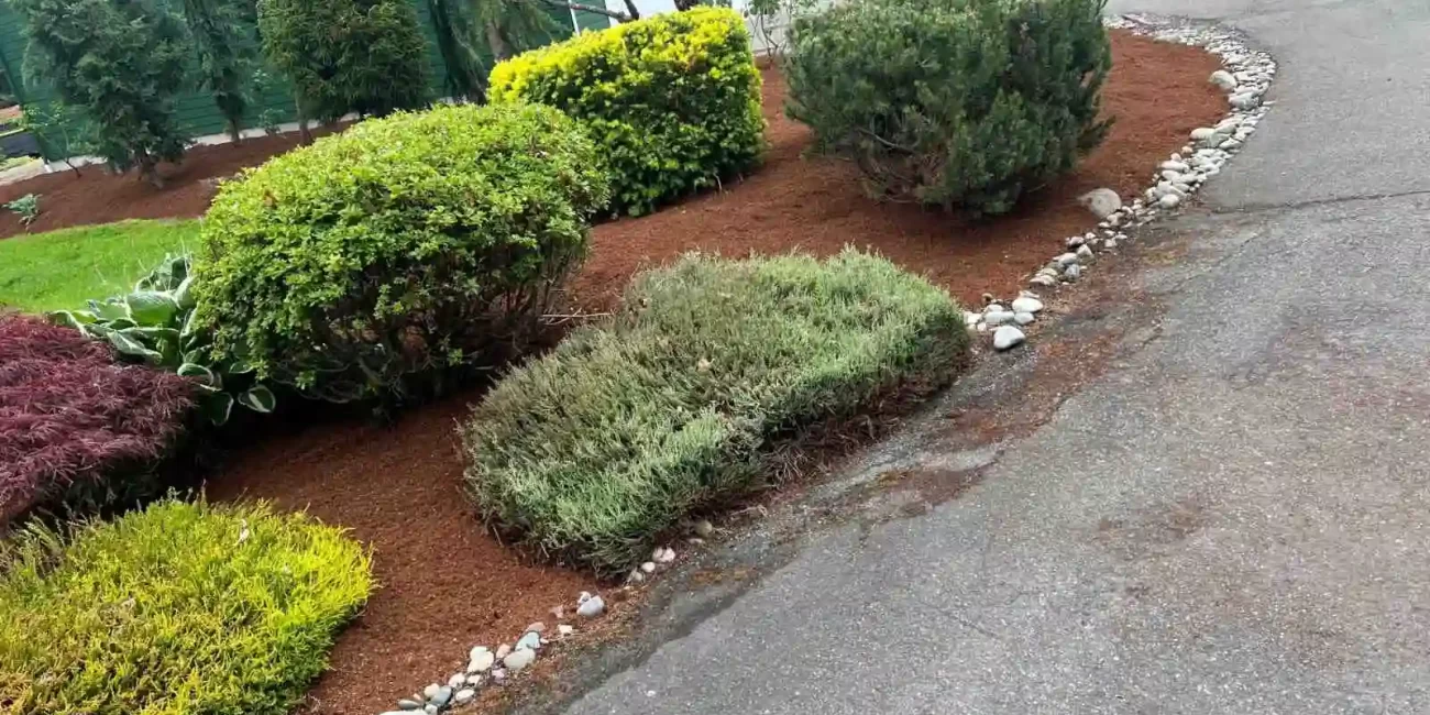 landscape cleanup granite falls washington 4