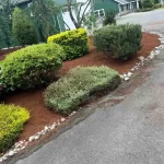 landscape cleanup granite falls washington 4