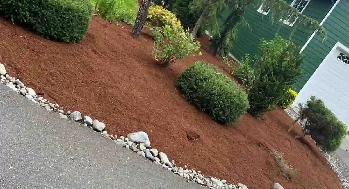 landscape cleanup granite falls washington 5