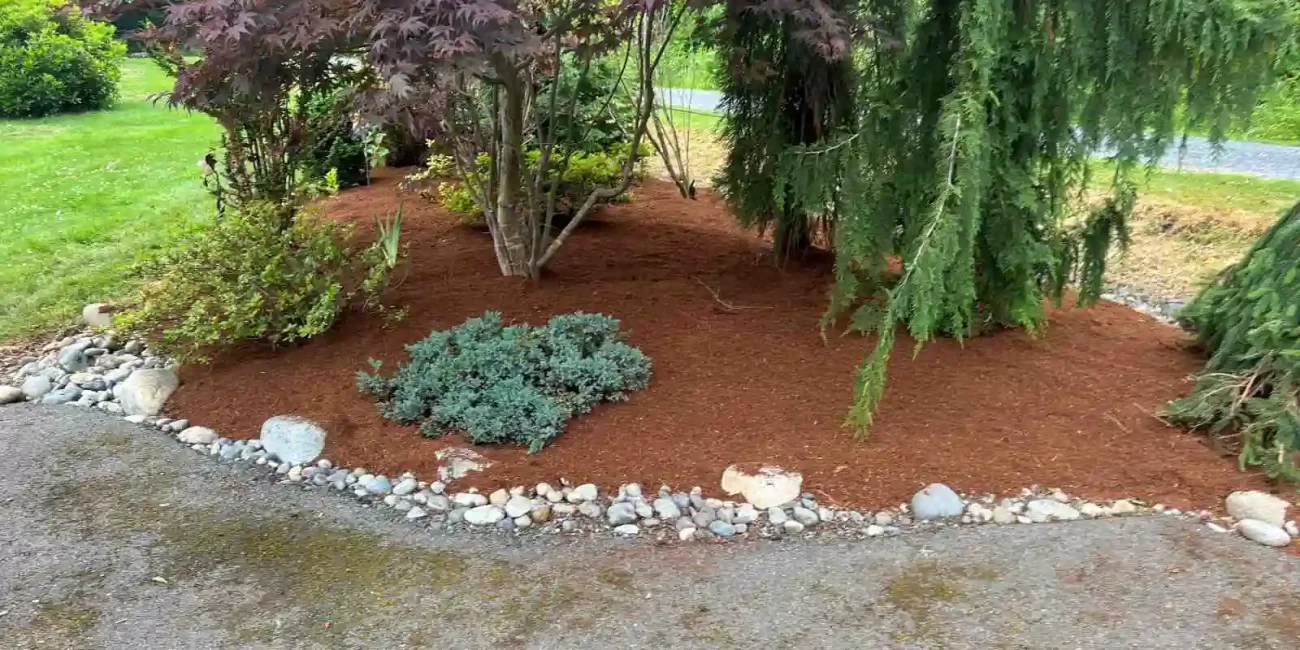 landscape cleanup granite falls washington 6