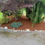 landscape cleanup granite falls washington 6