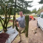 landscape cleanup in general Seattle Washington