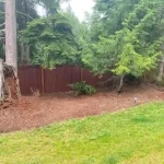 landscape cleanup kayak point washington