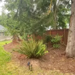 landscape cleanup kayak point washington 3