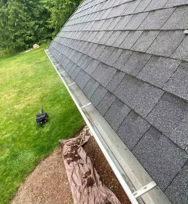 landscape cleanup kayak point washington 4