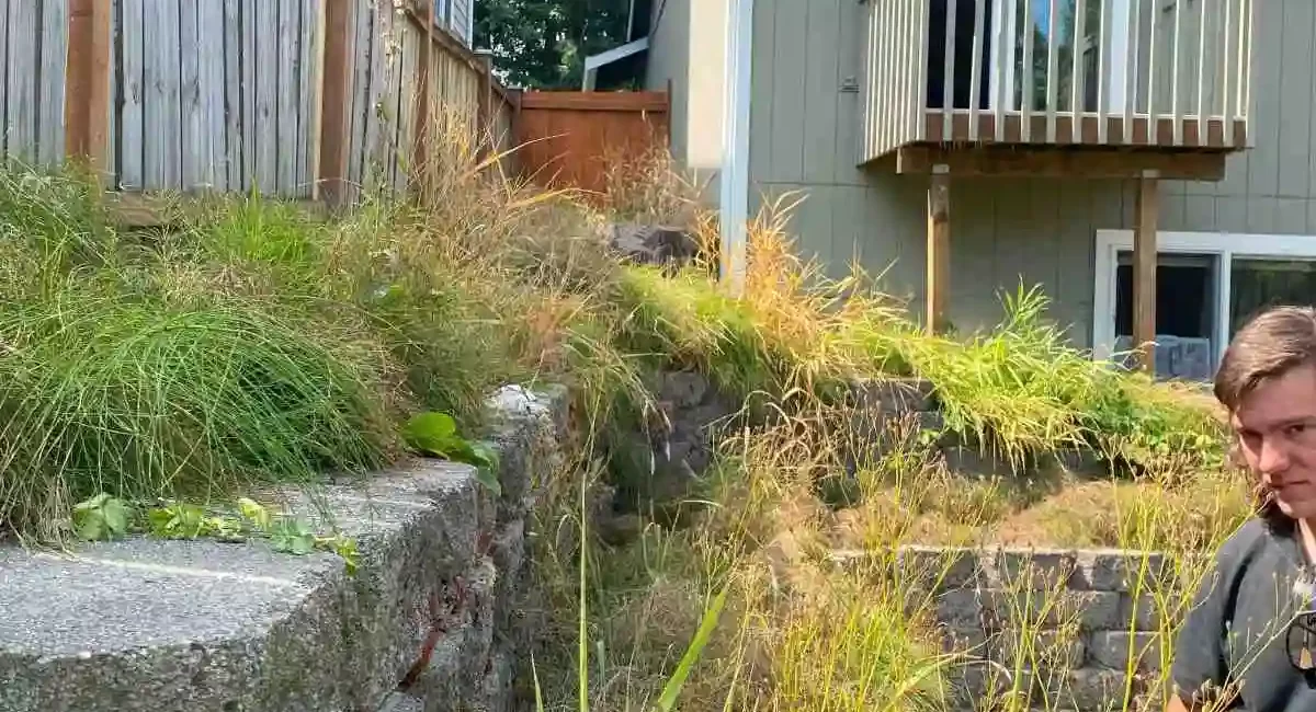 landscape cleanup marysville washington