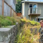landscape cleanup marysville washington