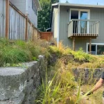 landscape cleanup marysville washington 2