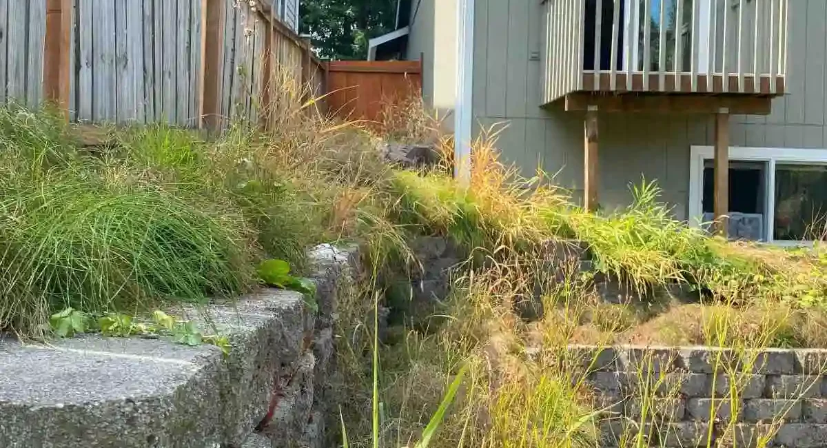 landscape cleanup marysville washington 3