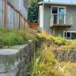 landscape cleanup marysville washington 3