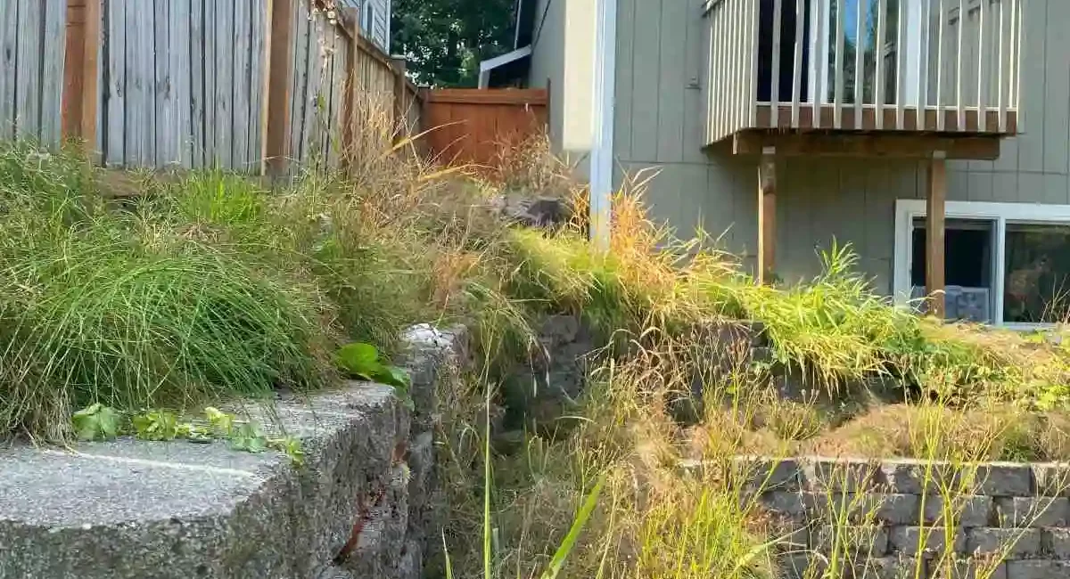 landscape cleanup marysville washington 4