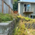 landscape cleanup marysville washington 4