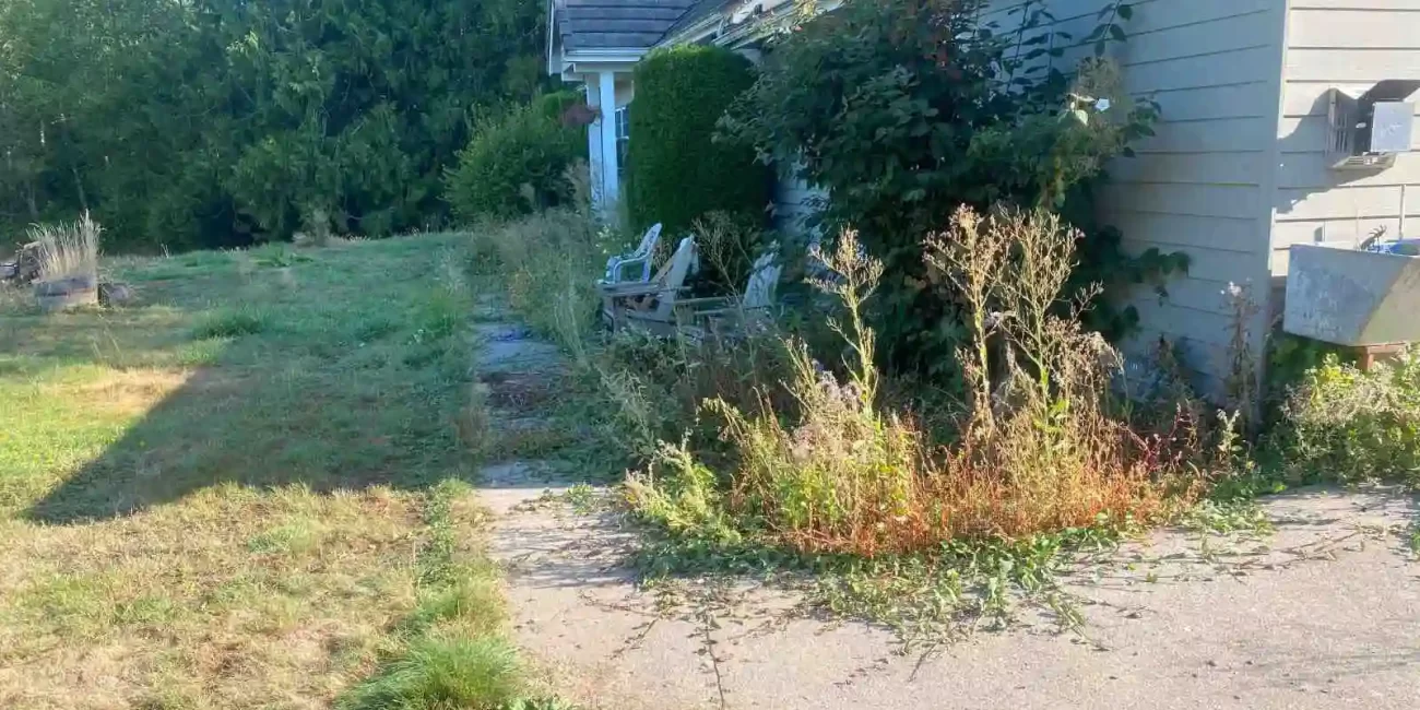 landscape cleanup mount vernon washington