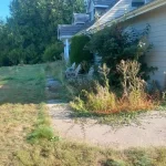 landscape cleanup mount vernon washington