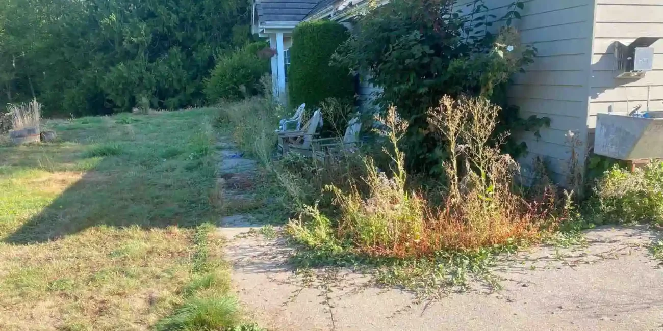 landscape cleanup mount vernon washington 2