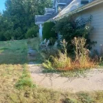 landscape cleanup mount vernon washington 2