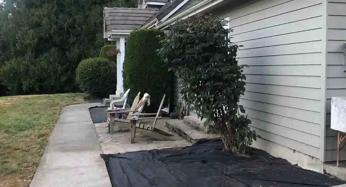 landscape cleanup mount vernon washington after 2